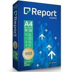 PAPEL REPORT PREMIUM